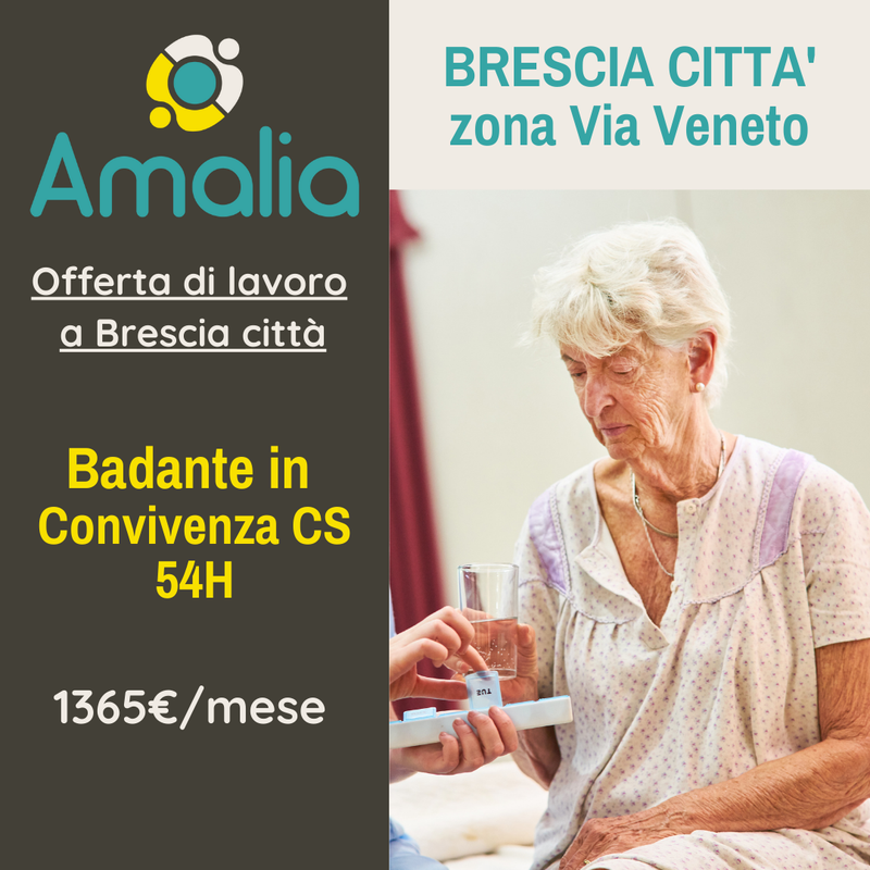 Offerta Di Lavoro Badante In Convivenza A Brescia 1365 Mese