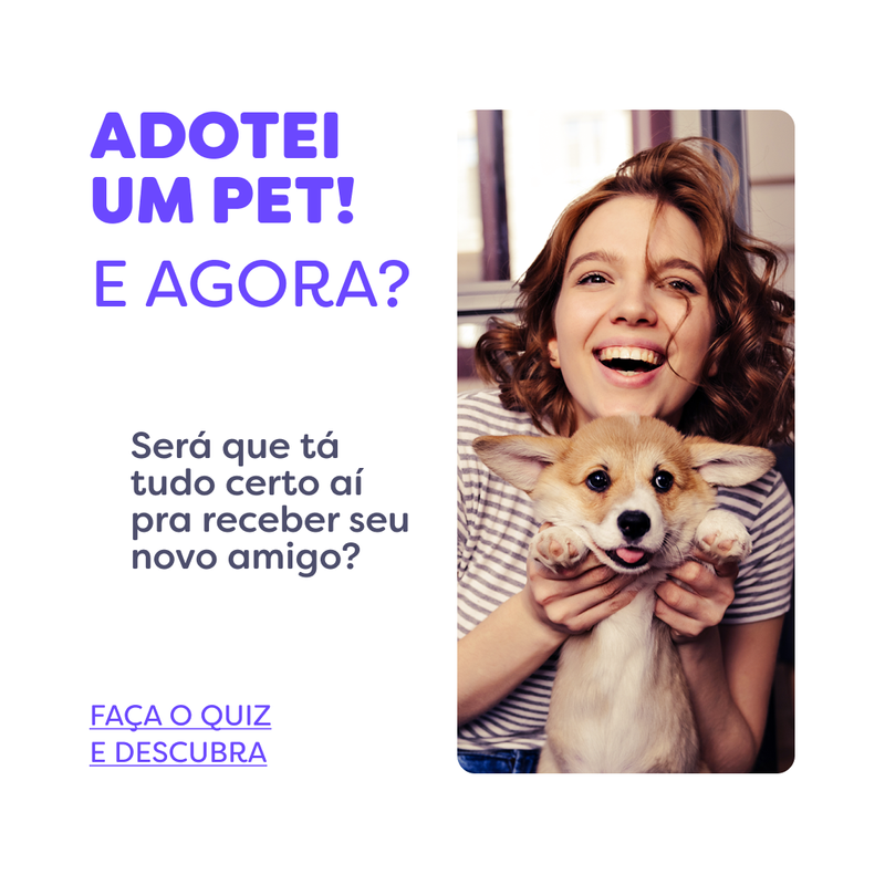 Adotei Um Pet E Agora