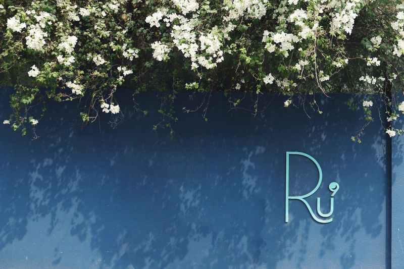 Ru9 - Jobs | Application Form
