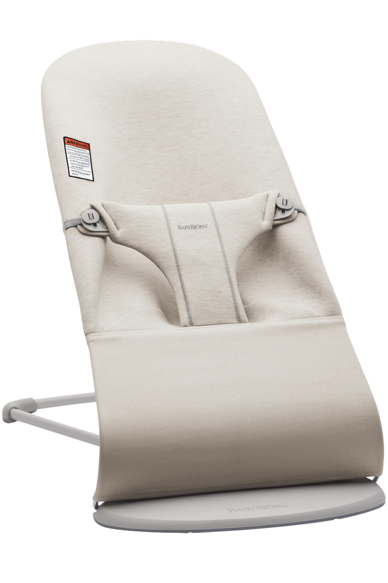 BabyBjörn Baby Bouncer Guide