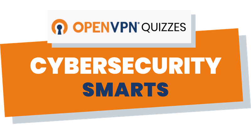 Can You Score More Than 90 On The Openvpn Cybersecurity Quiz