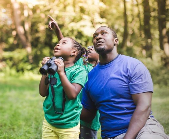 Birding / Wildlife Viewing