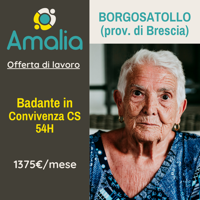 Offerta Di Lavoro Badante In Convivenza A Borgosatollo Bs Mese