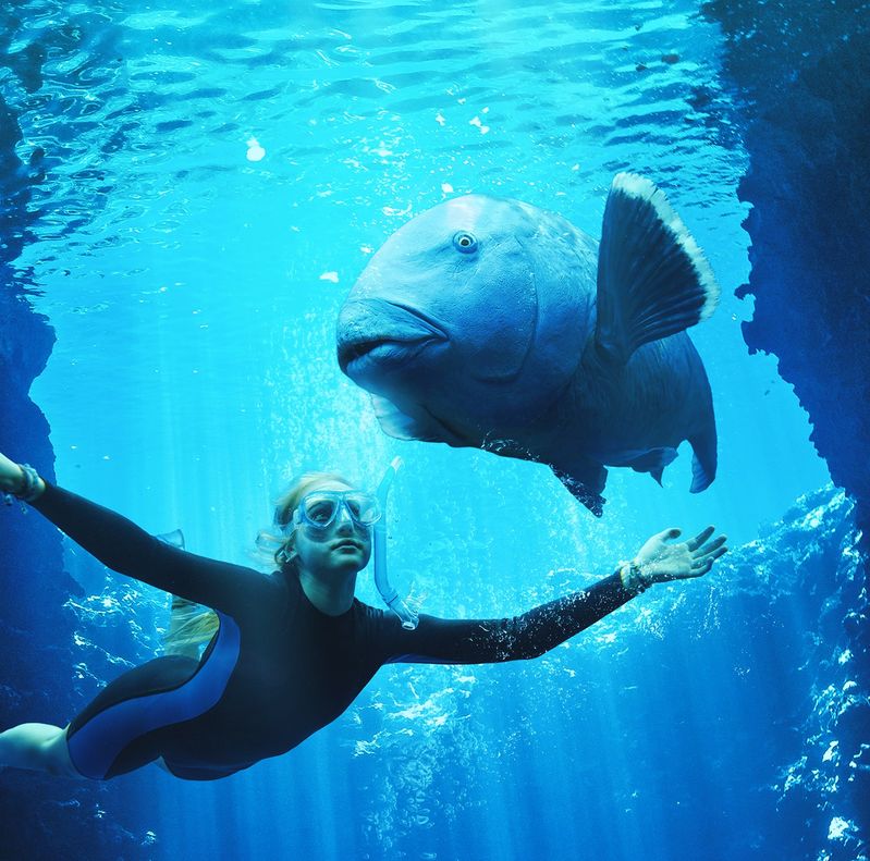 Which sea creature are you?