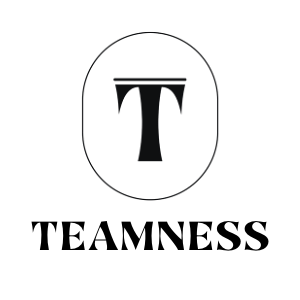 TEAMNESS STACKED LOGO  (300 × 300 px)