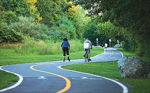 Biking / Rollerblading