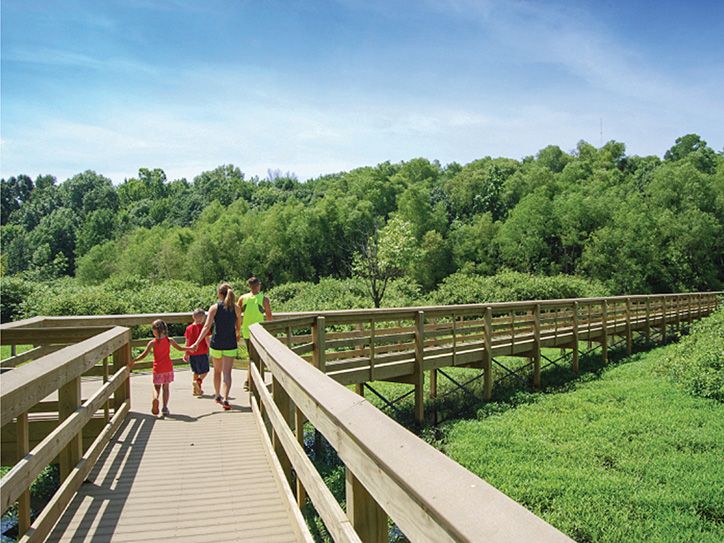 Wetland Boardwalk