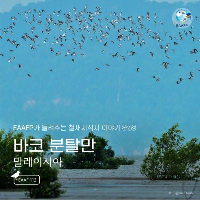 철새서식지\_(해외)