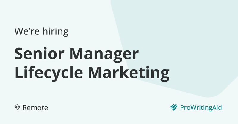 Senior Manager Lifecycle Marketing   Default