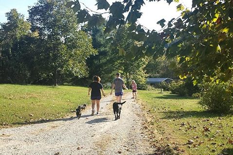 Walking / Dog Walking