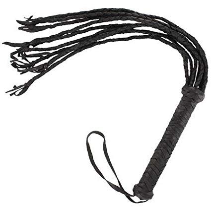 A whip with 9 knotted tails