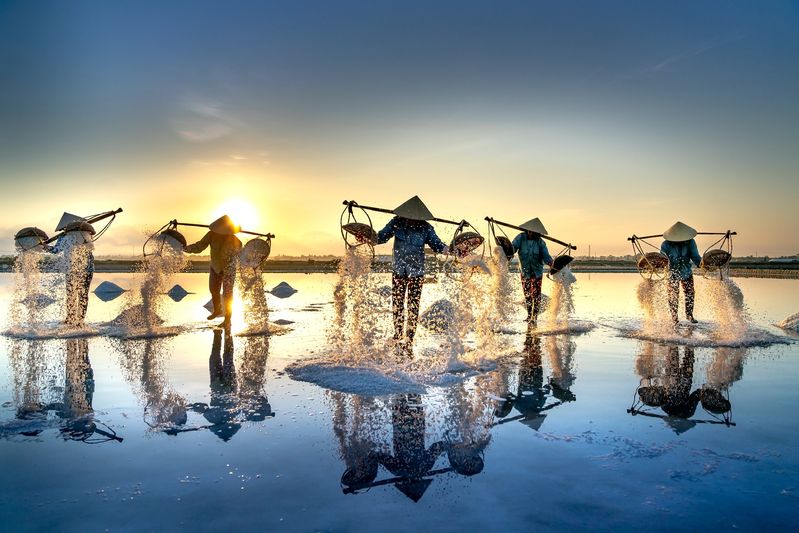 quang-nguyen-vinh-3il07gRCne0-unsplash