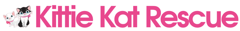 kittie kat rescue