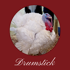 Drumstick