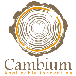 Job Application - Cambium