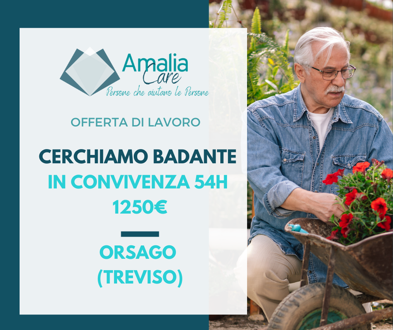 Offerta Di Lavoro Badante In Convivenza A Orsago (TV) | 1250 €/mese