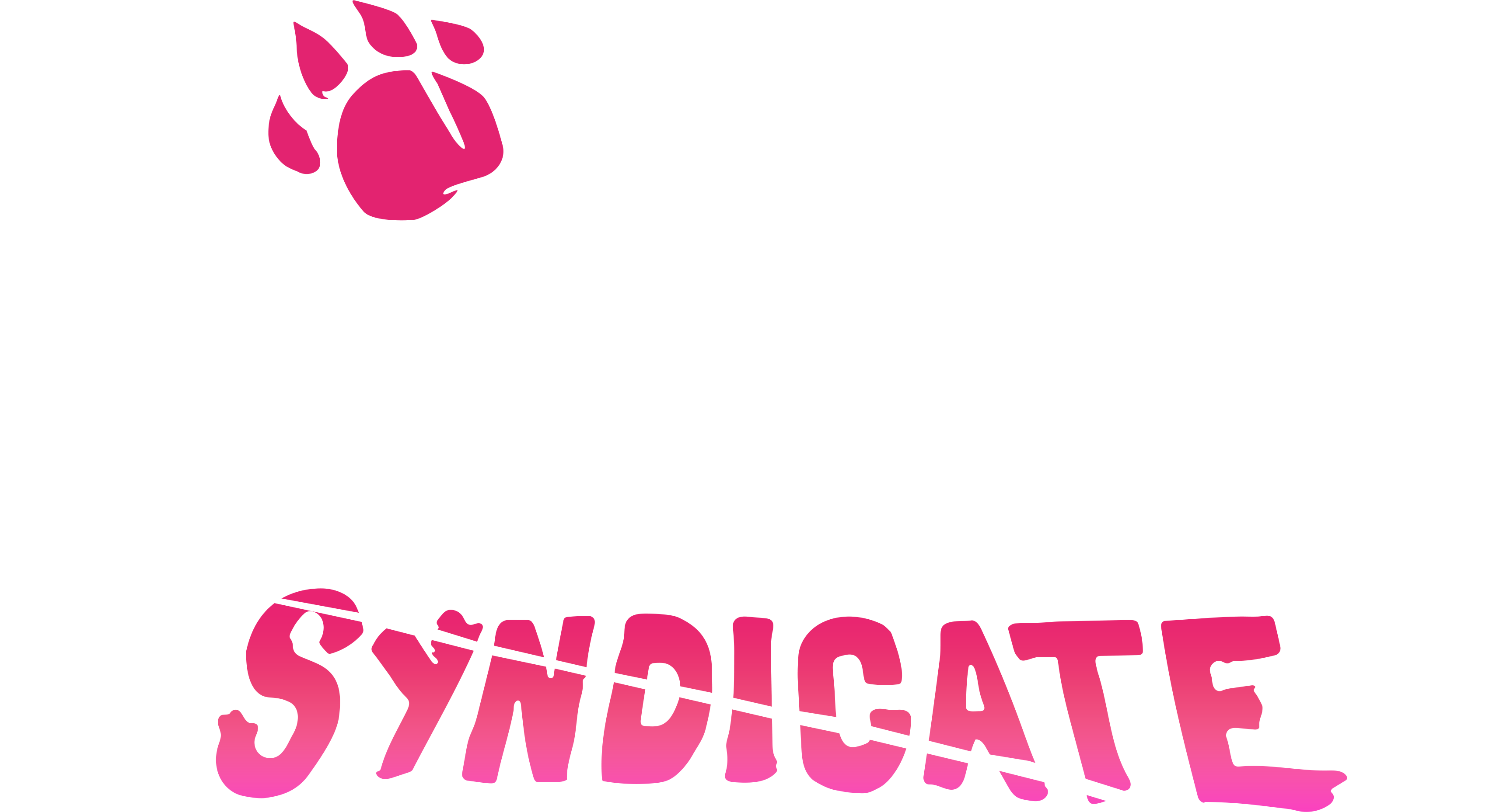 Big Bear Syndicate Allowlist Application