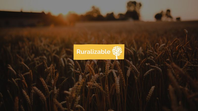 Convocatoria Ruralizable 2024/25