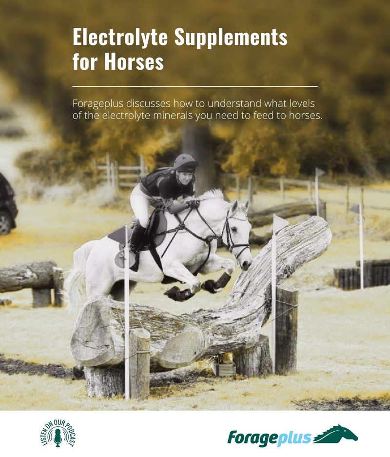 Electrolytes for Horses FREE eBook