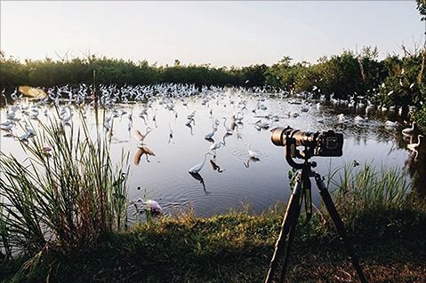 Birding Event