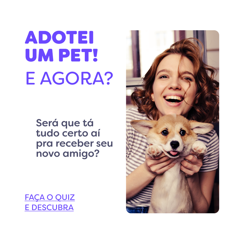 Adotei um pet! E agora?