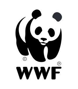Report logo