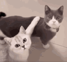 team-teamwork