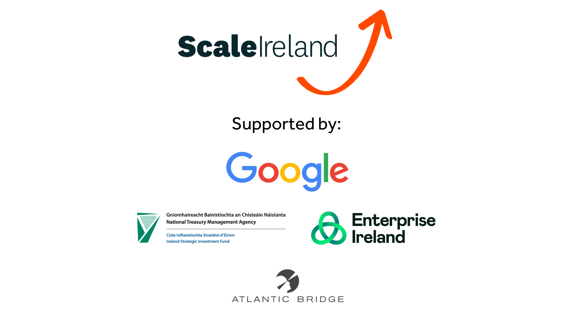 Scale Ireland Startup Survey