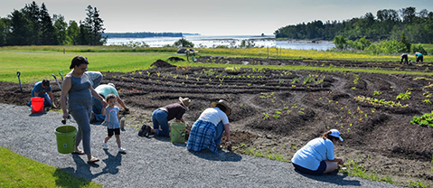 Community Garden