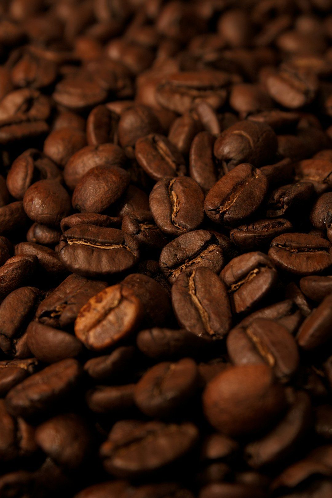 Close-up of roasted coffee beans