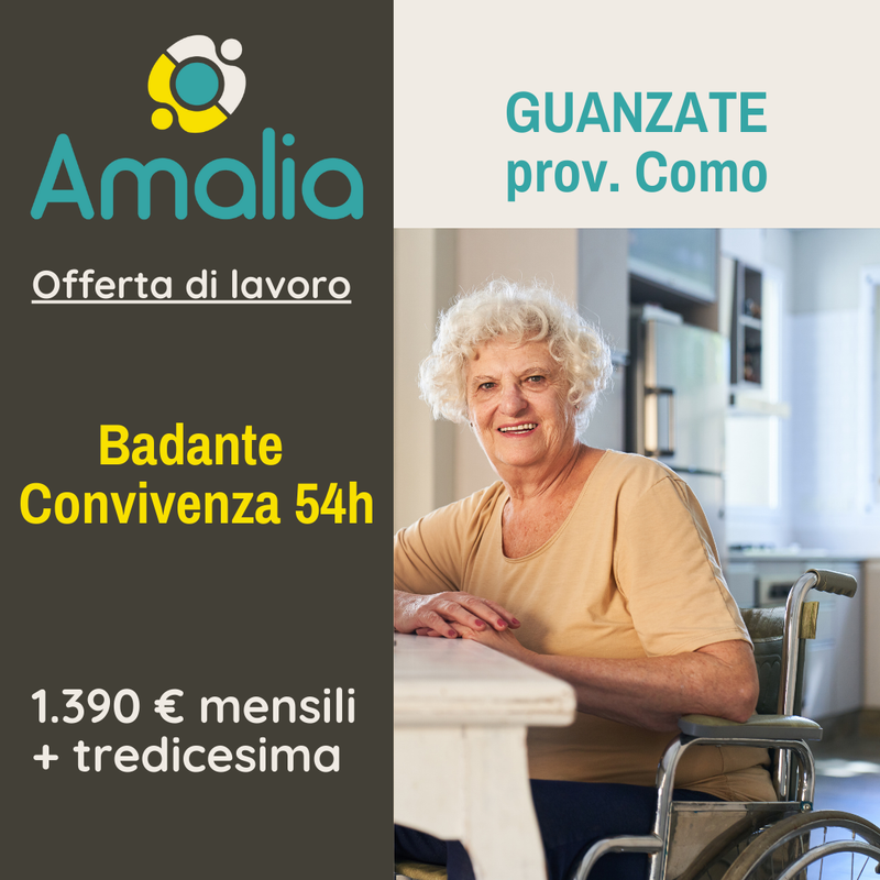 Offerta Di Lavoro Badante In Convivenza A Guanzate Co Mese