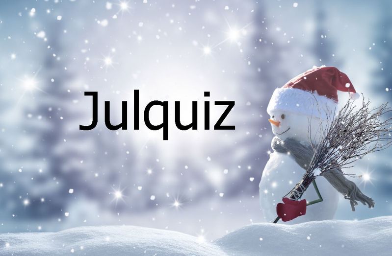 Fondquiz Julquiz