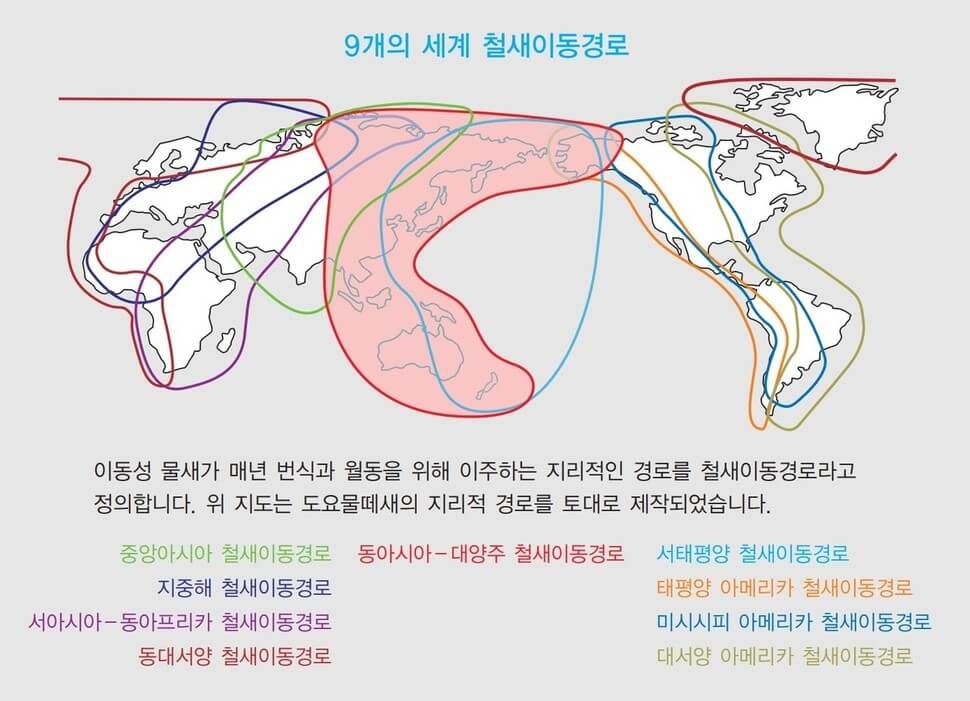 철새이동경로