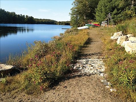 Shoreline Stabilization