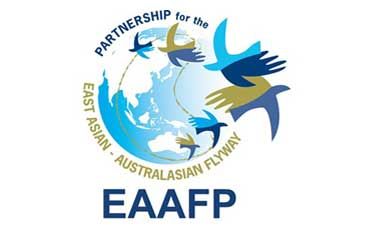 EAAFP 소개