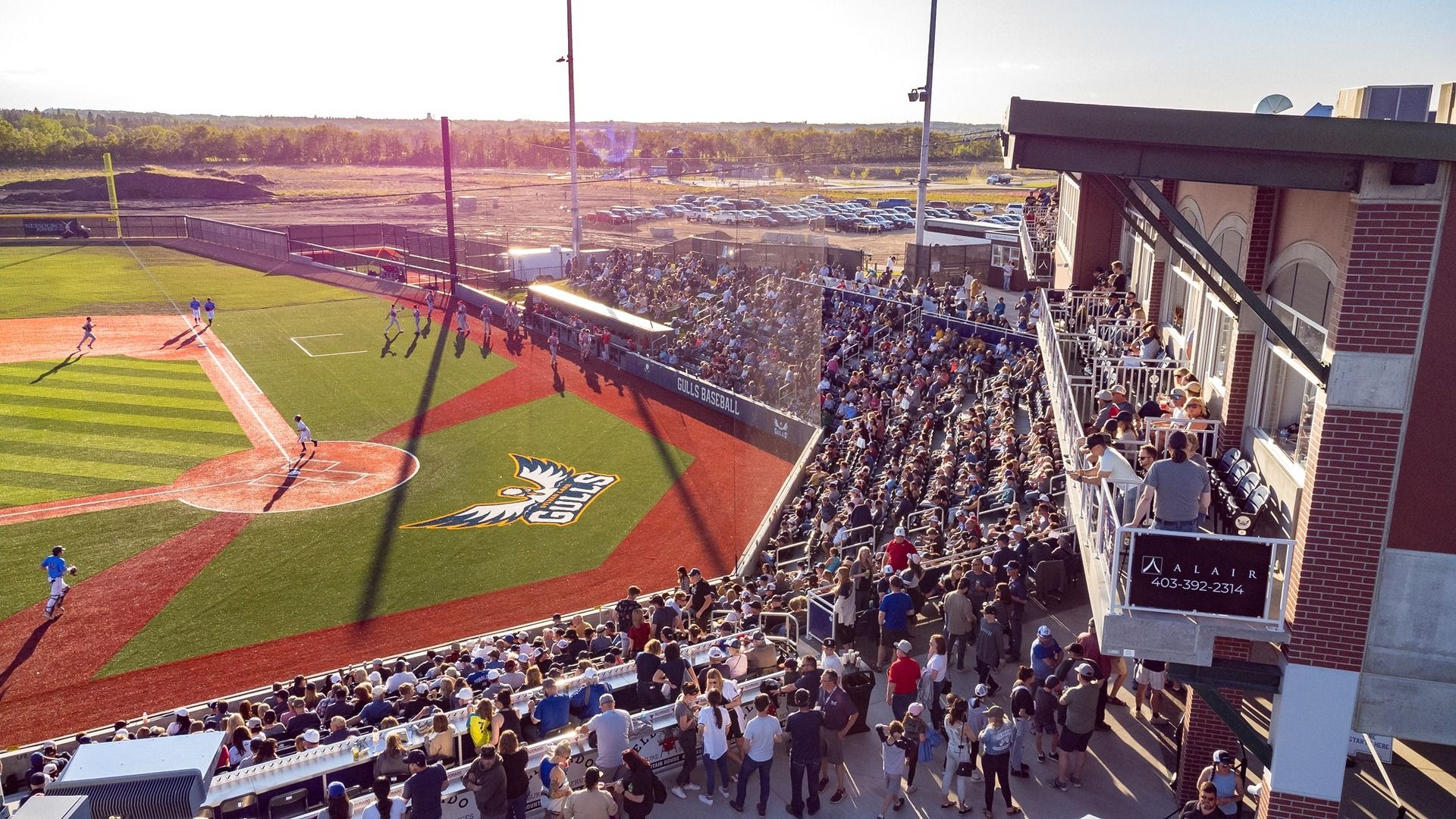 Gull stadium photo