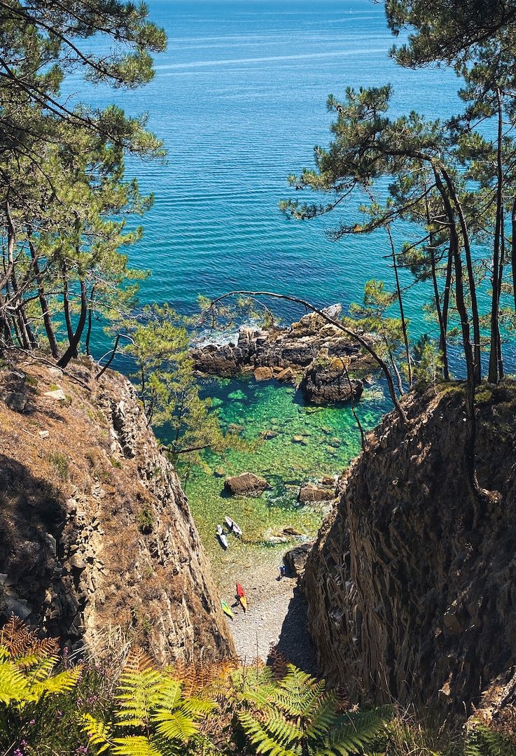 green trees on brown rocky shore during daytime